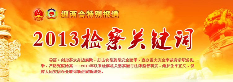 2013zP(gun)I~