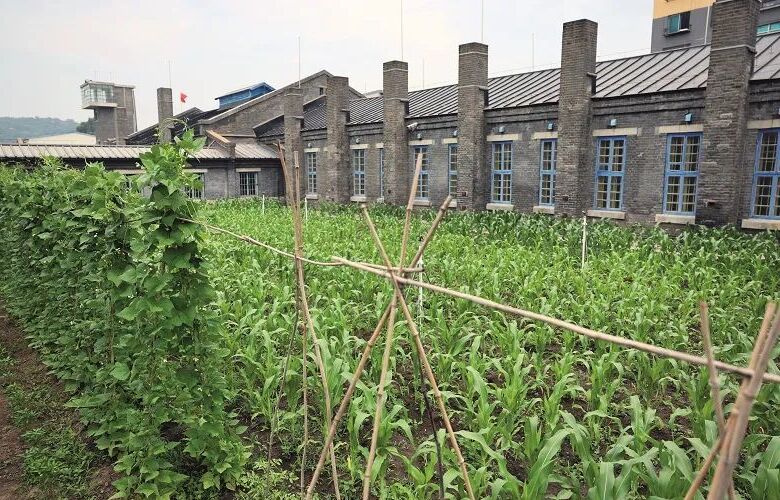 (zhn) һʷoǰġ`֮(zhn)Vձ(zhn)؄e