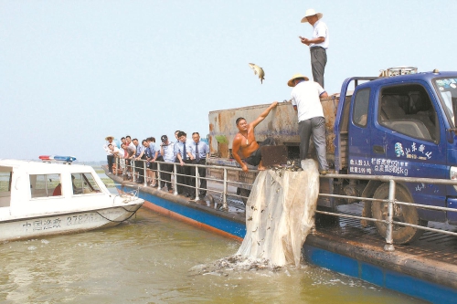 微山湖里又見魚蝦嬉戲