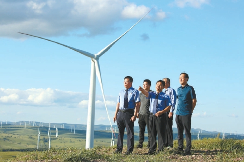 風光旖旎,風電場植被恢復(fù)了